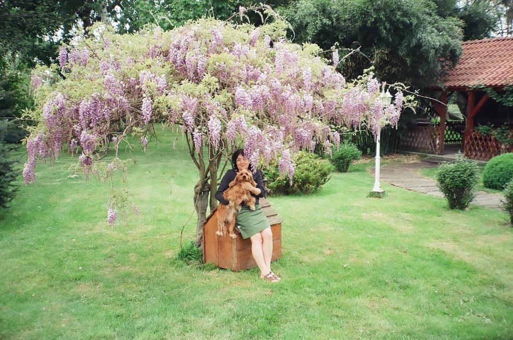 Villa Hedi 두나킬리티 외부 사진