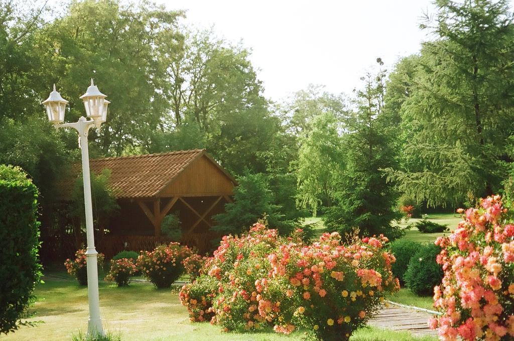 Villa Hedi 두나킬리티 외부 사진