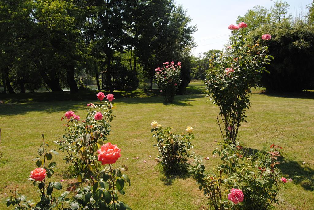 Villa Hedi 두나킬리티 외부 사진